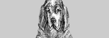 Gravyr av blodhund